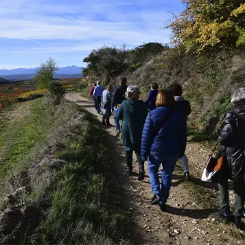 Una excursión al monte de un grupo de personas.